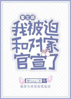 重生后我被迫和对家官宣了