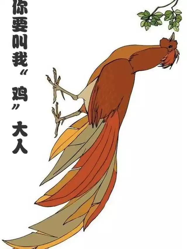 你要叫我鸡大人